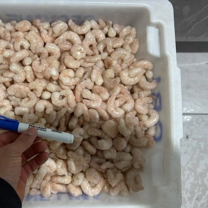 Camarão RG — foto real do produto